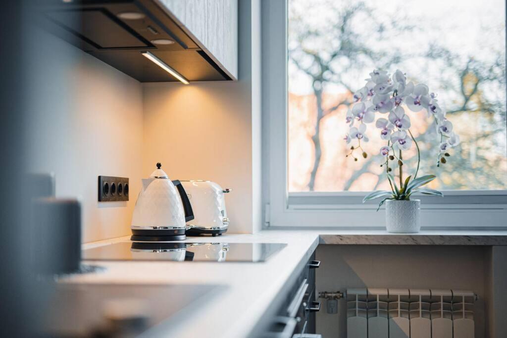 New Luxury 3Br Apartment In Old Town, Free Parking Haapsalu Kültér fotó