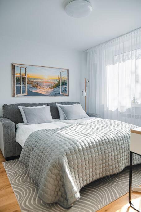 New Luxury 3Br Apartment In Old Town, Free Parking Haapsalu Kültér fotó